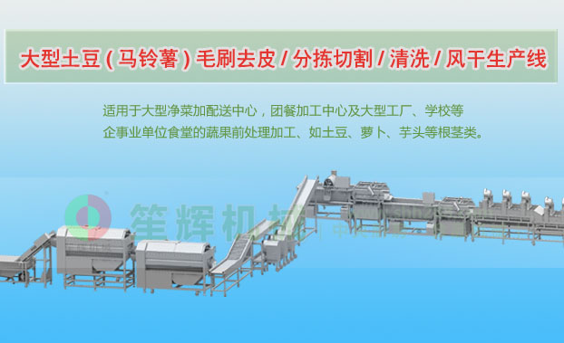 灌阳连续式土豆去皮清洗切割风干生产线